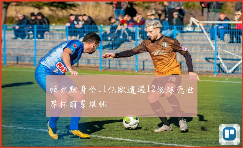 帕尔默身价11亿欧遭遇12场球荒世界杯前景堪忧