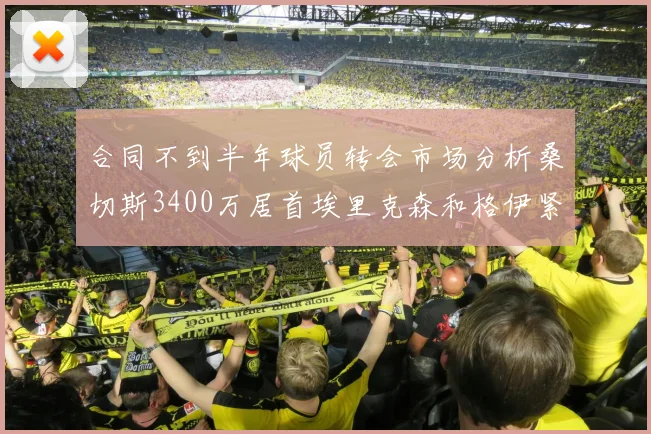 合同不到半年球员转会市场分析桑切斯3400万居首埃里克森和格伊紧随其后